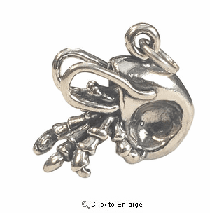 Hermit Crab Sterling Silver Charm