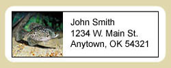 Crappie Address Labels