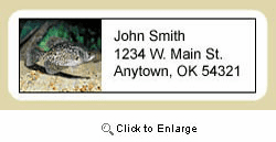 Crappie Address Labels