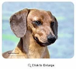 Dachshund Coasters