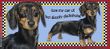 Dachshund Coffee Mug