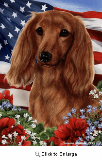 Dachshund House Flag Longhaired