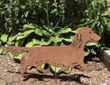 Dachshund Long Haired Garden Stake