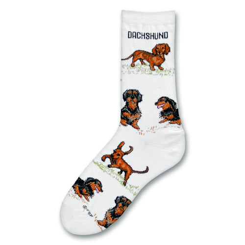 Dachshund Poses Socks