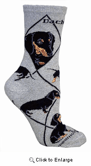 Dachshund Socks Black and Tan