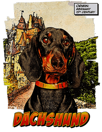Dachshund T-Shirt Ancestry
