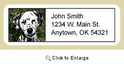 Dalmatian Address Labels