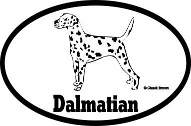 Dalmatian Bumper Sticker Euro