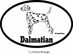 Dalmatian Bumper Sticker Euro