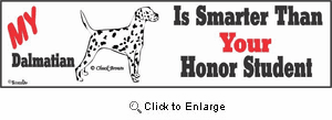 Dalmatian Bumper Sticker Honor Student
