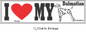 Dalmatian Bumper Sticker I Love My