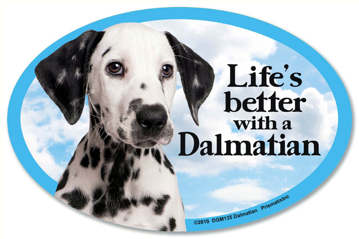 Dalmatian Car Magnet - Life's Better