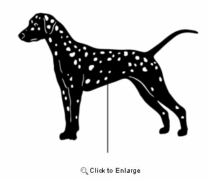 Dalmatian Garden Stake