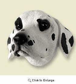 Dalmatian Magnet