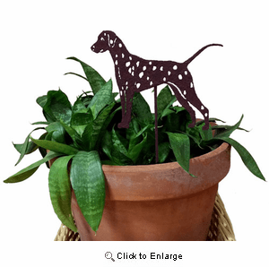 Dalmatian Plant Stake