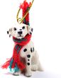 Dalmatian Tiny One Christmas Ornament