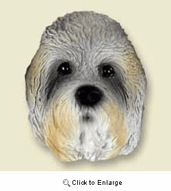 Dandie Dinmont Magnet