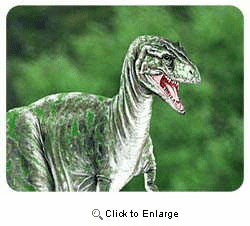 Dinosaur Coasters