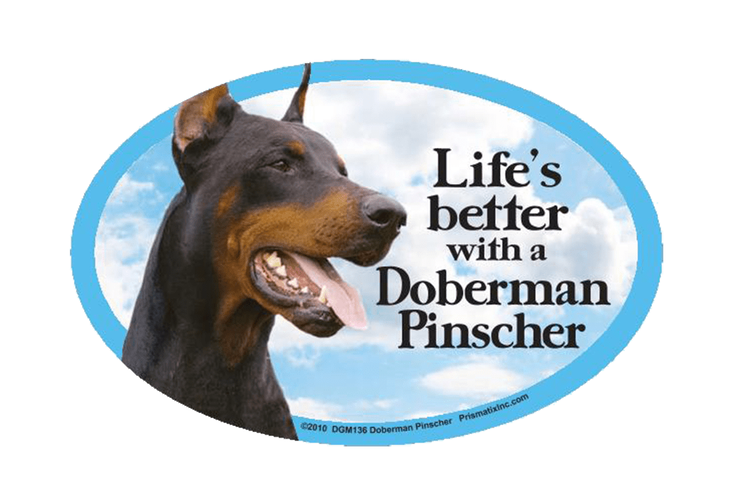 Doberman Car Magnet - Life's Better