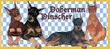 Doberman Pinscher Coffee Mug