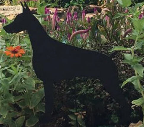 Doberman Pinscher Garden Stake