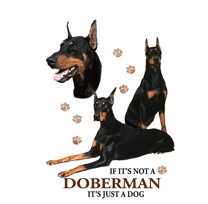 Doberman Pinscher T-Shirt - If its not a Doberman