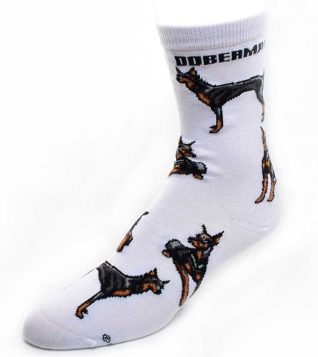 Doberman Socks Poses 2