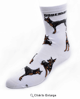 Doberman Socks Poses 2