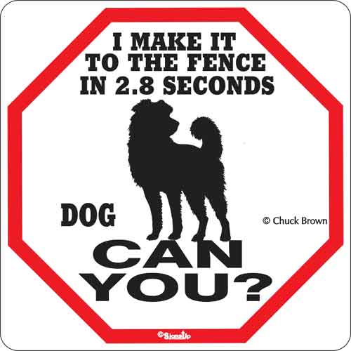 Dog 2.8 Seconds Sign