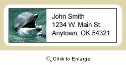 Dolphin Address Labels