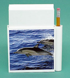 Dolphin Hold-a-Note