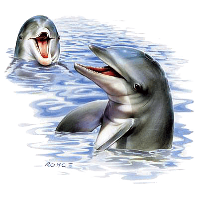 ★WAIKEI★ Puppy Dolphin Jumping Short Sleeve T-Shirt Green Puppy dolphin jumping half sleeve tshirt overfit - WaiKei