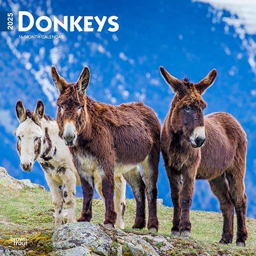 2025 Donkey Calendar