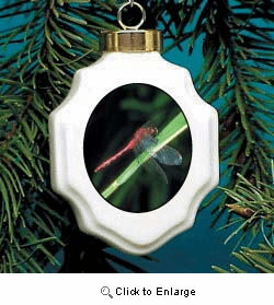 Dragonfly Christmas Ornament Porcelain