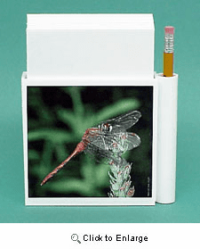 Dragonfly Hold-a-Note
