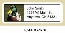 Duck Address Labels