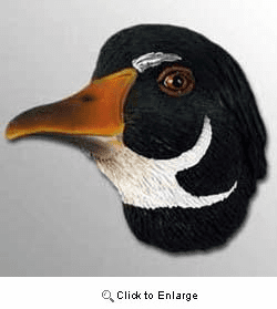 Duck Magnet