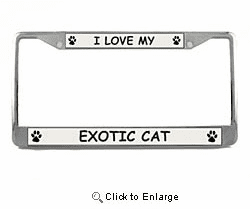 Exotic Cat License Plate Frame