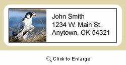 Falcon Address Labels