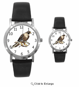 Falcon Watch