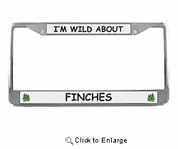 Finch License Plate Frame