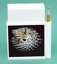 Fish Hold-a-Note
