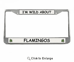 Flamingo License Plate Frame