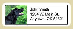 Flat-Coated Retriever Address Labels