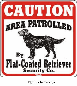 Flat-Coated Retriever Caution Sign