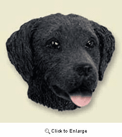 Flat-Coated Retriever Magnet