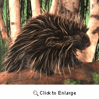 Folkmanis Porcupine Hand Puppet Plush 13"