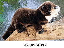 Folkmanis River Otter Hand Puppet Plush 18"