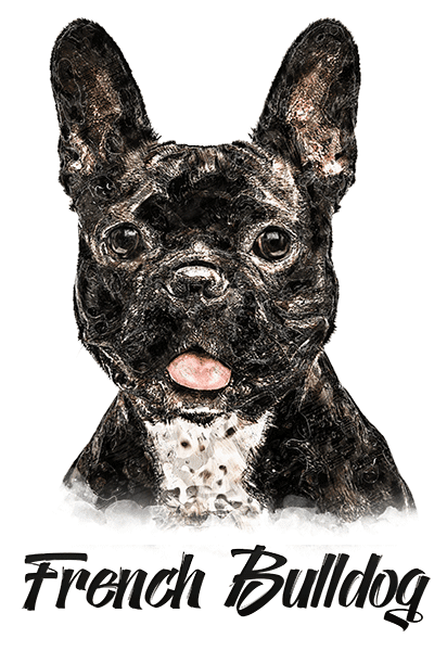 French Bulldog B/W T-Shirt - Vivid Colors