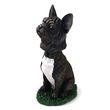 French Bulldog Bobblehead Black-White